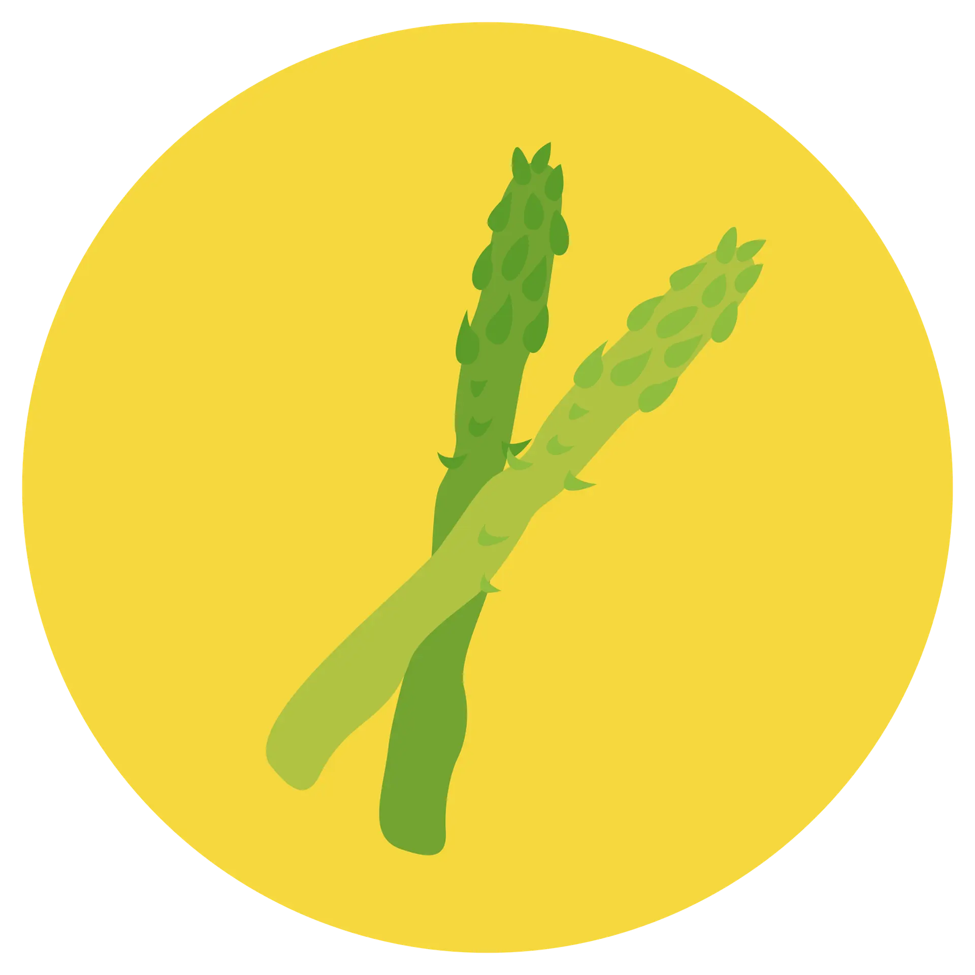 Asparagacee