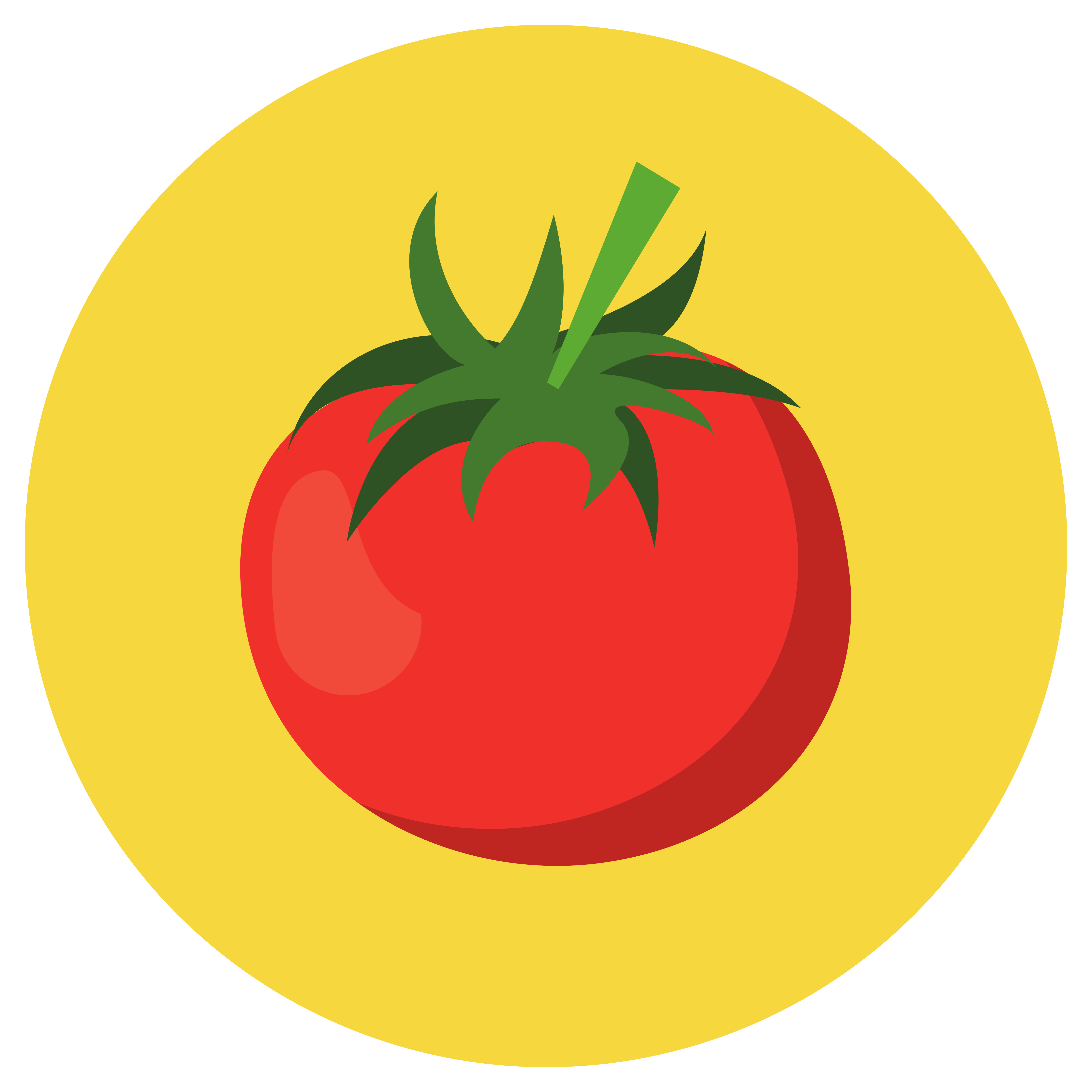 Solanacee