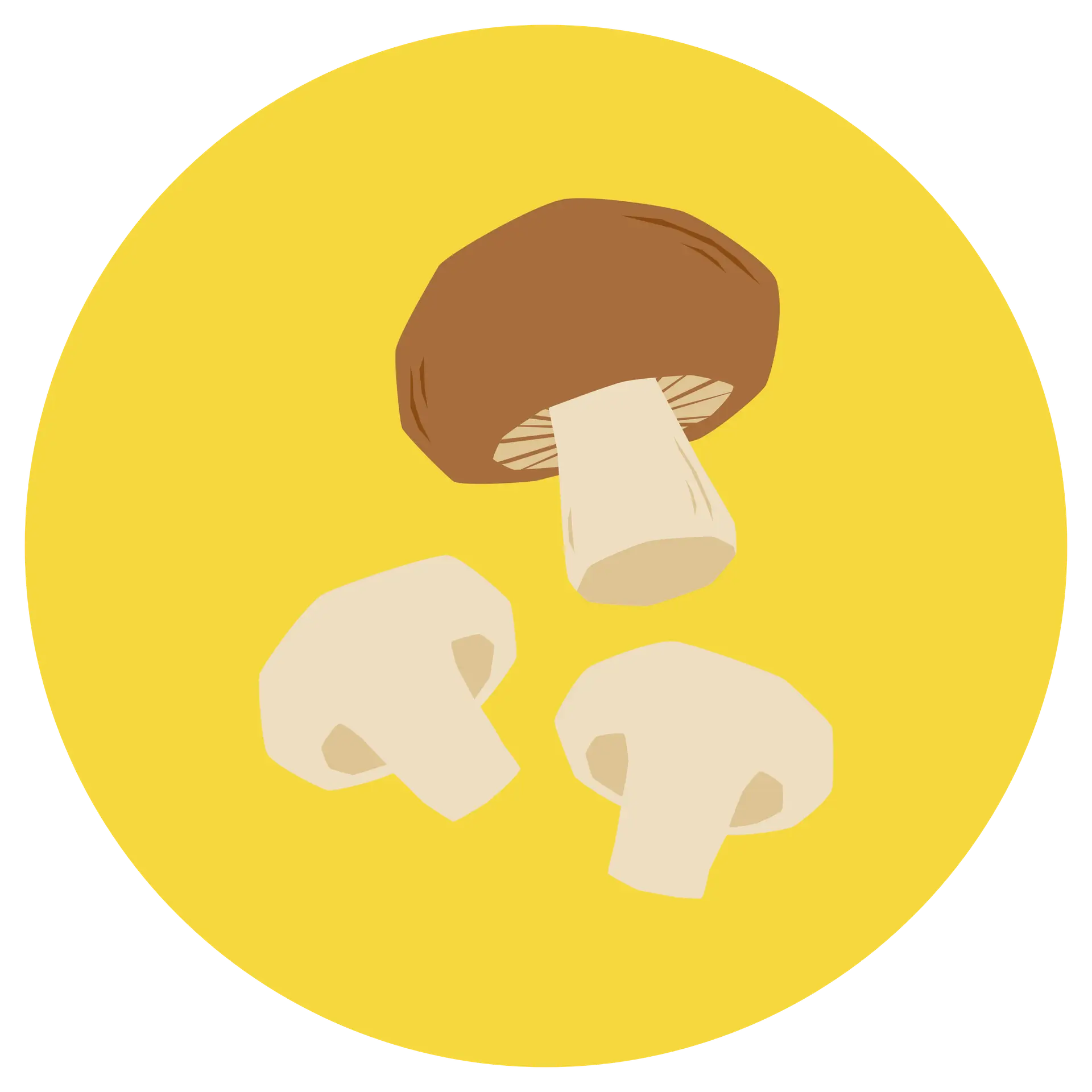 agaricacee