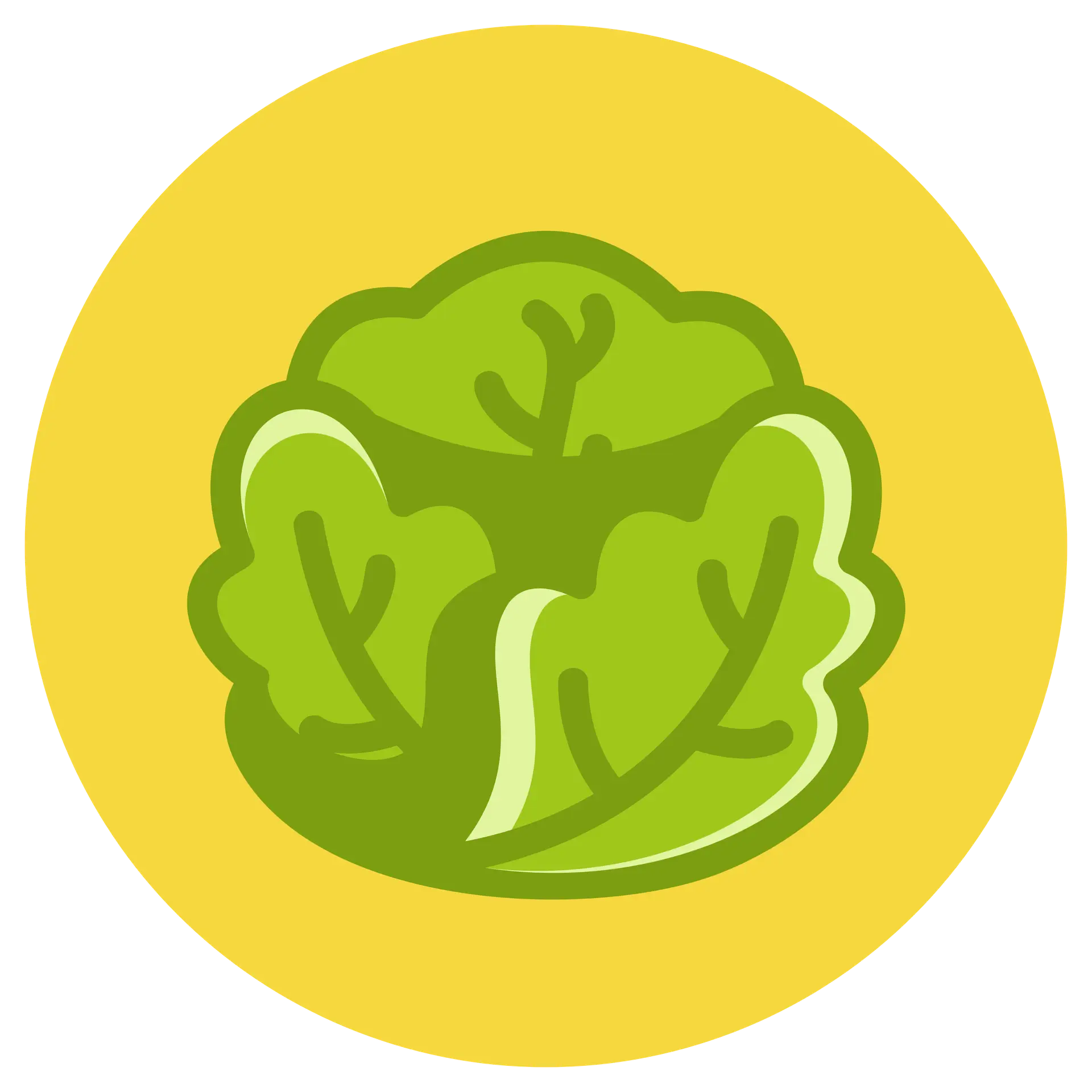 baby_leaves