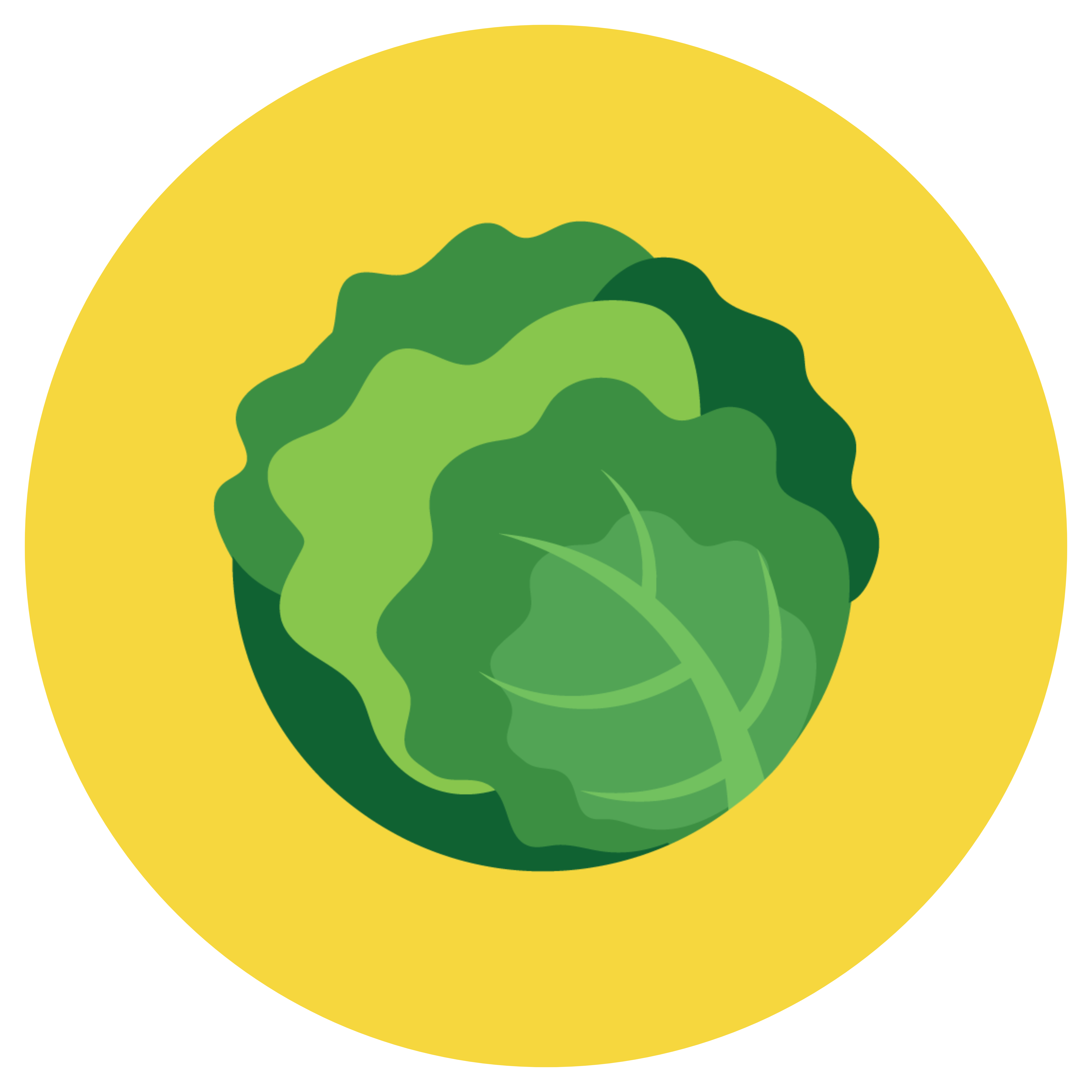 brassicacee