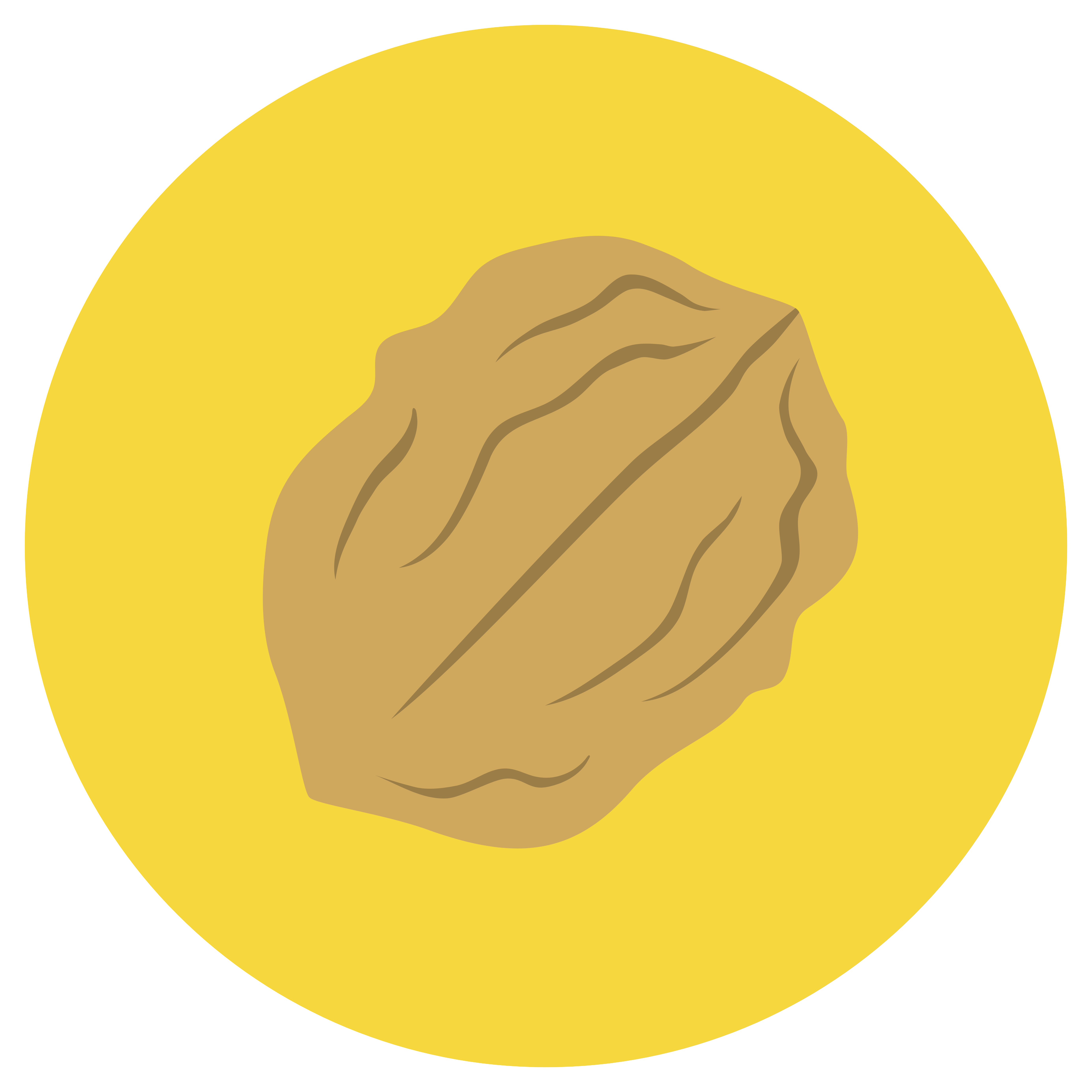 juglandacee