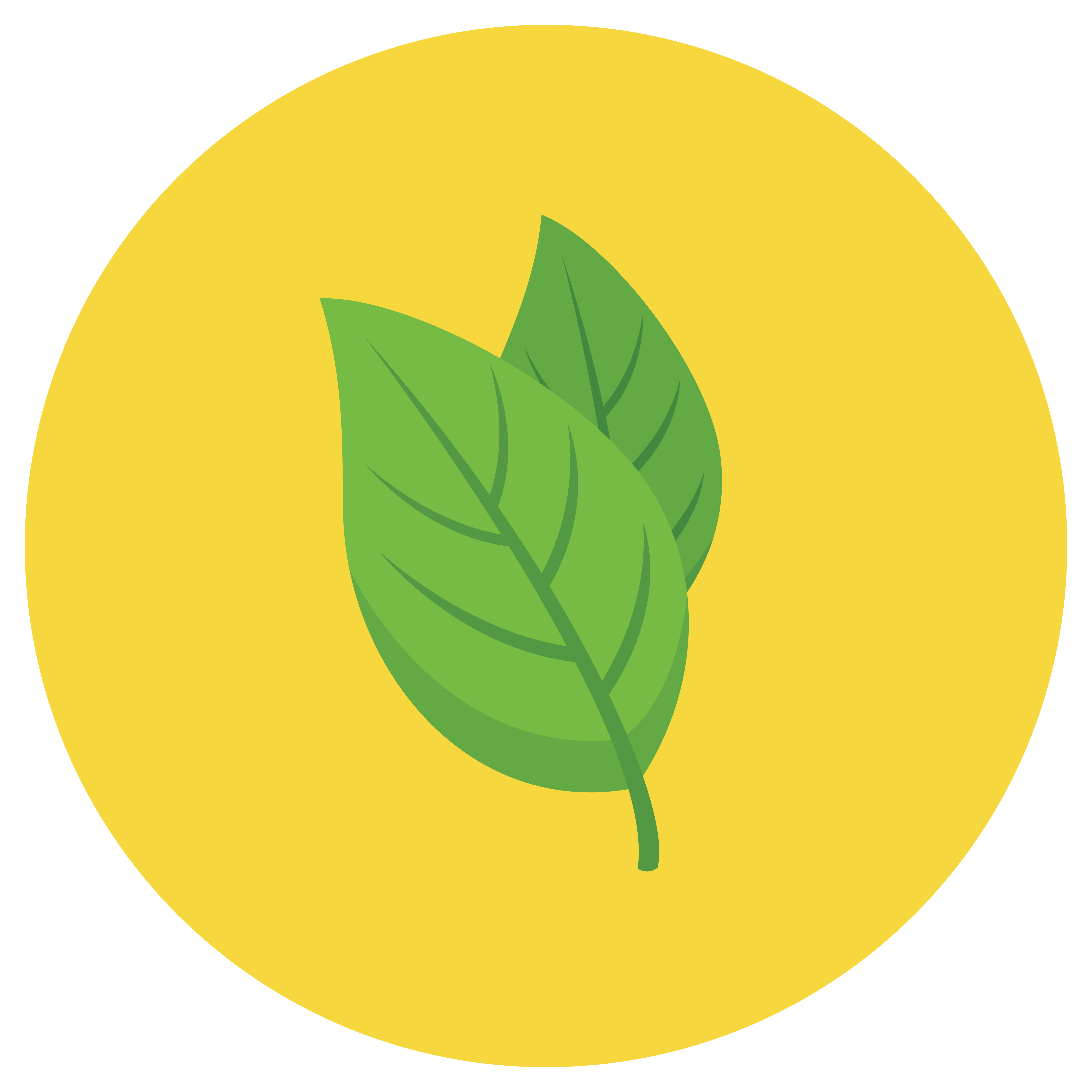 lamiacee