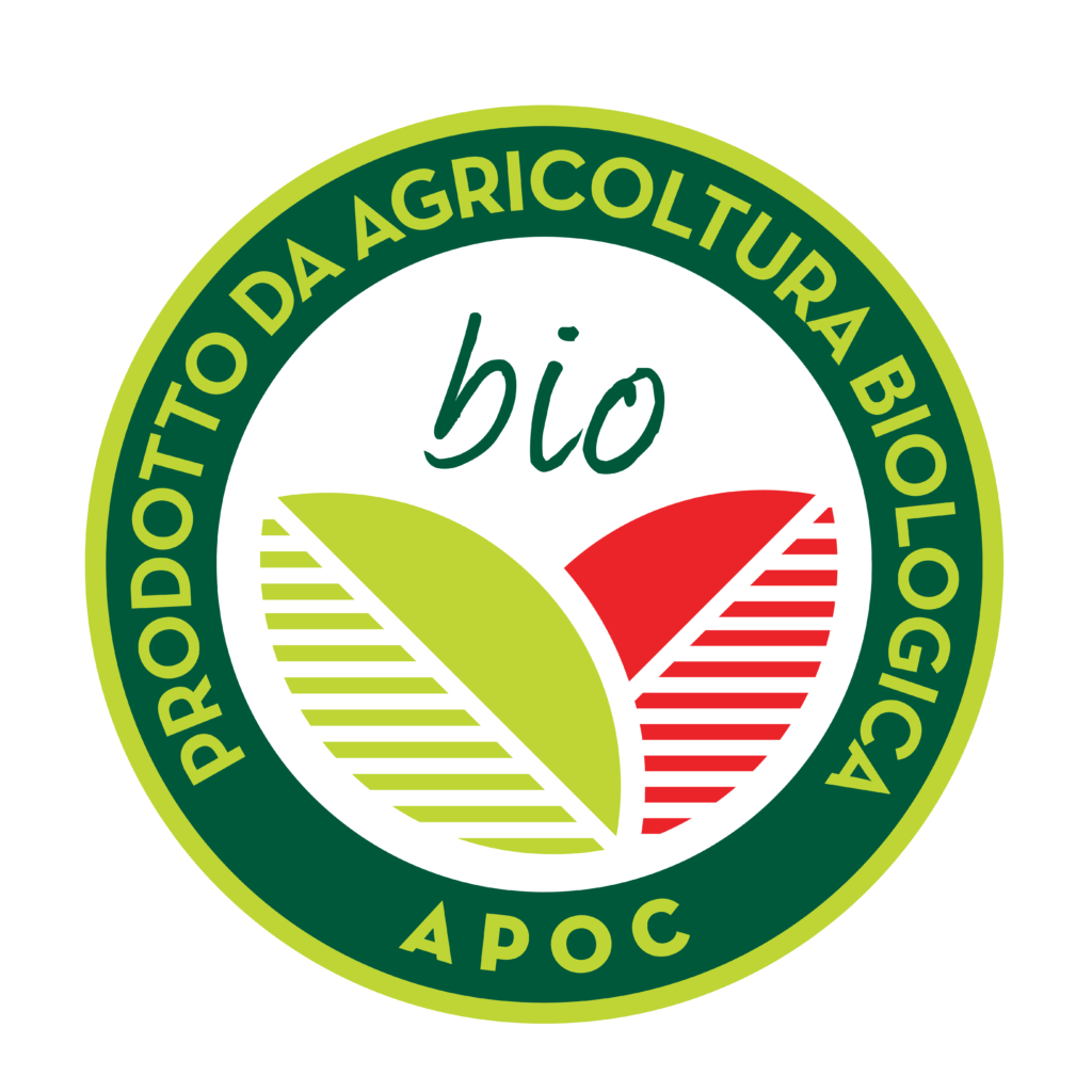 certificazione_2