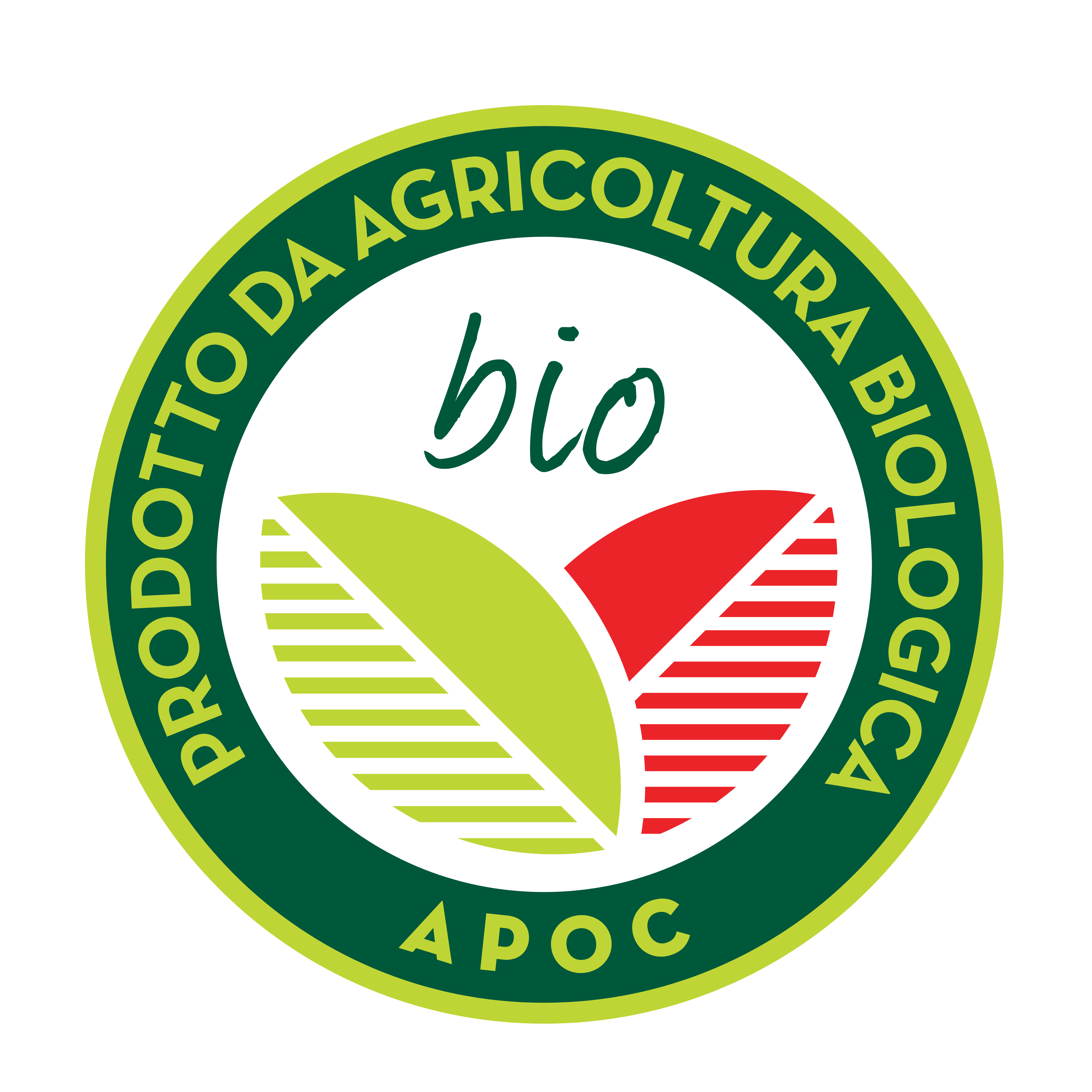 certificazione_2