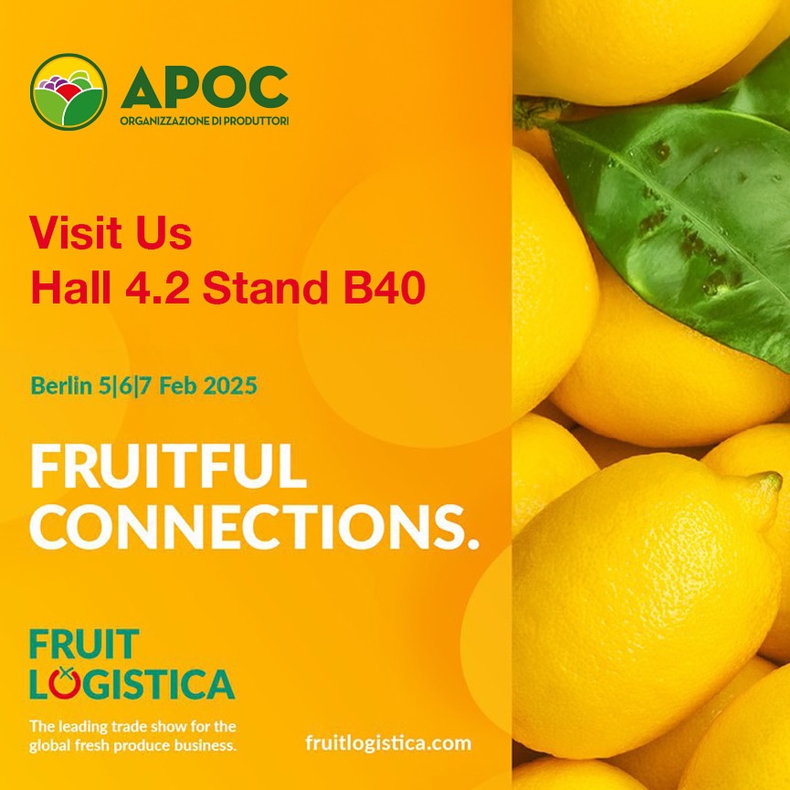 Scopri di più sull'articolo Apoc Salerno 5, 6 e 7 Febbraio 2025 sarà presente al Fruit Logistica a Berlino.Hall 4.2 Stand B-40
