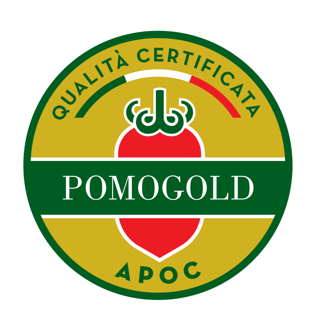 certificazione_5