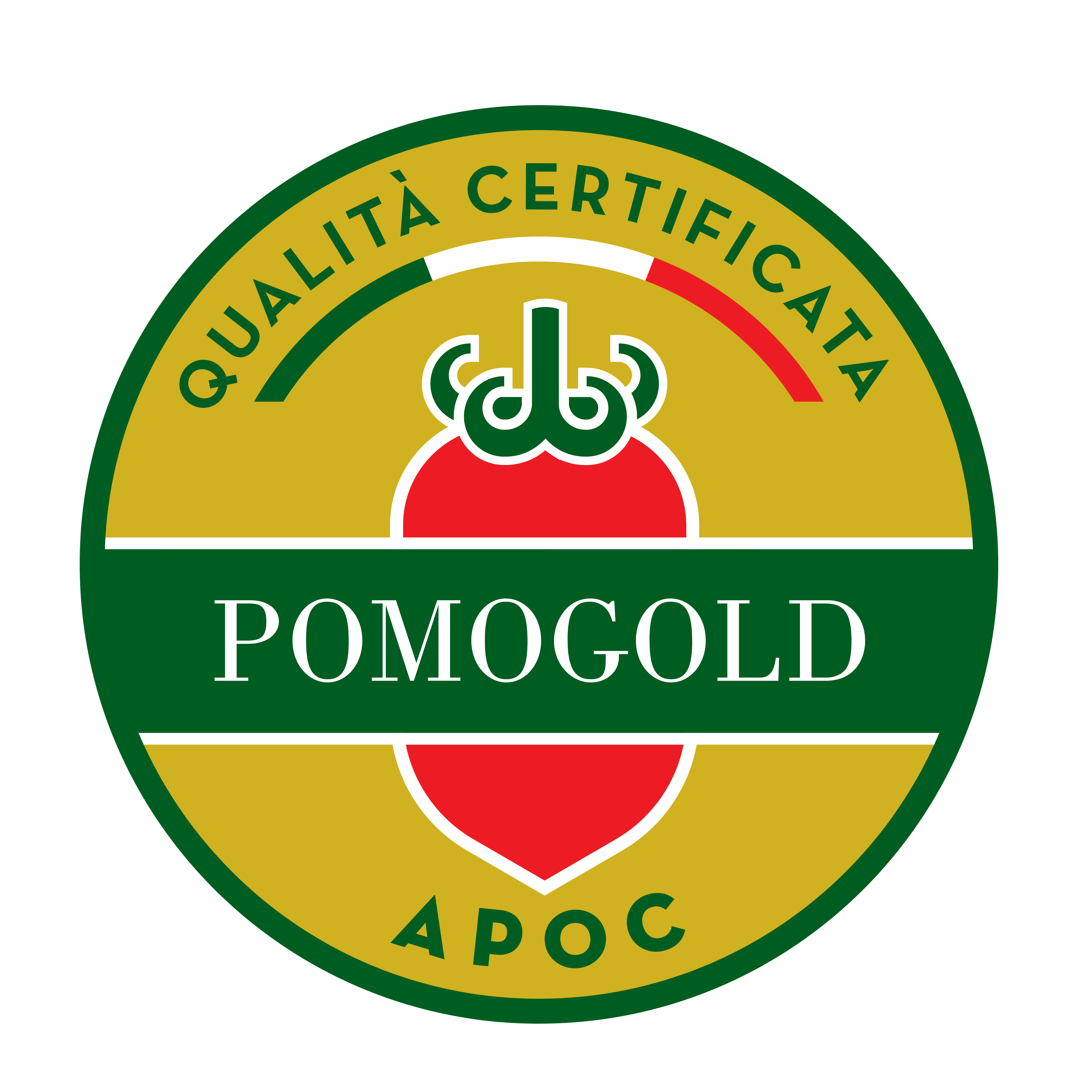 certificazione_5