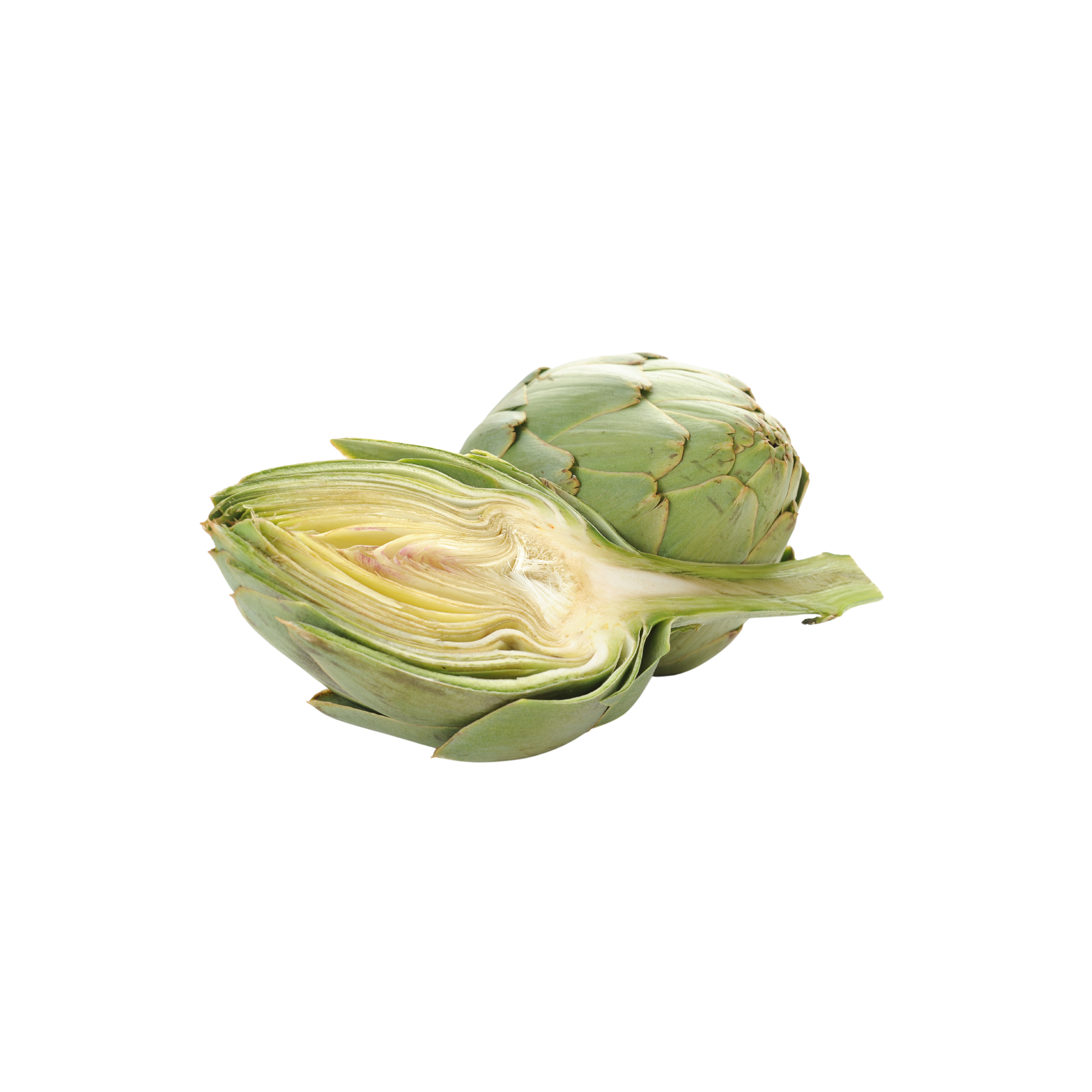 carciofi