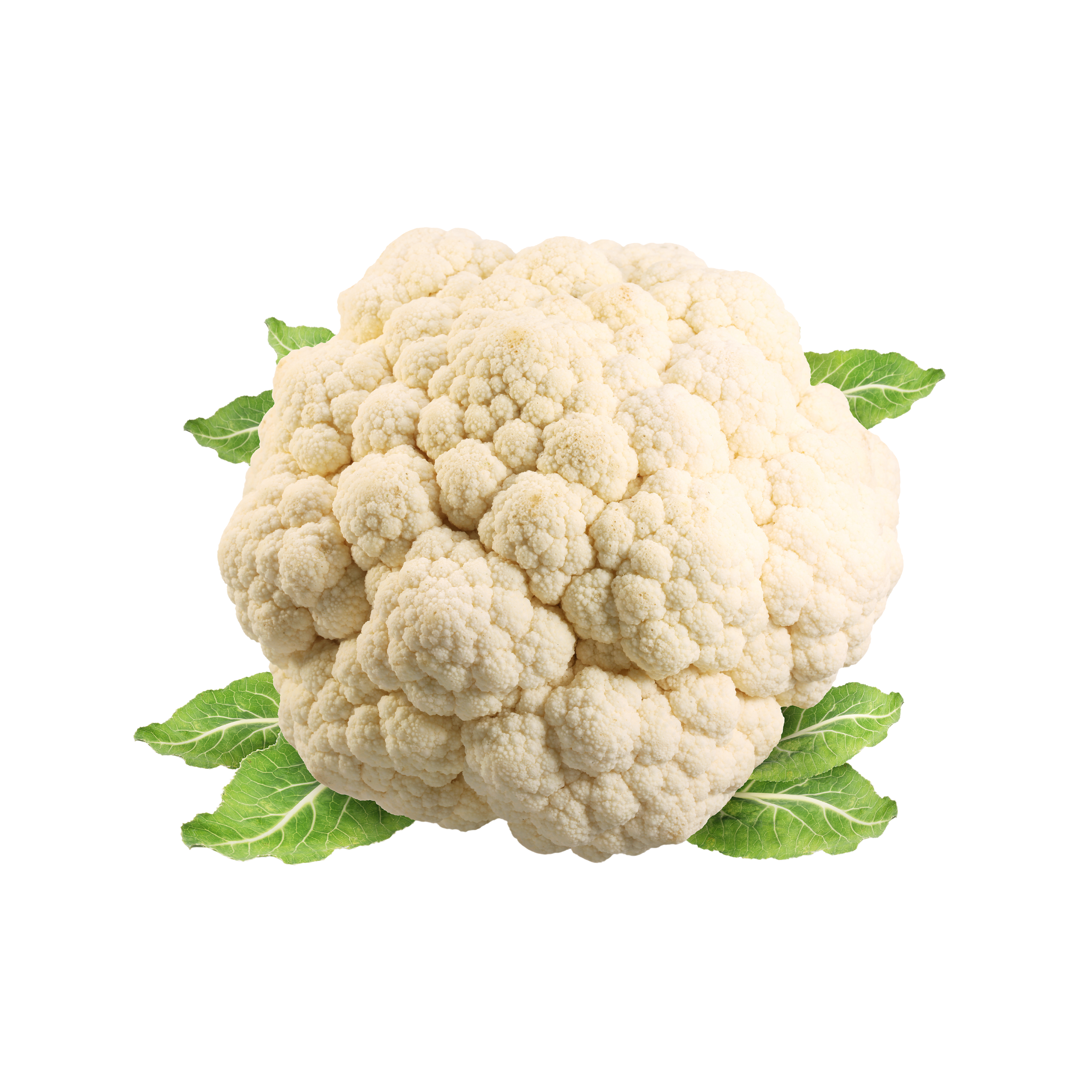 cavolfiore
