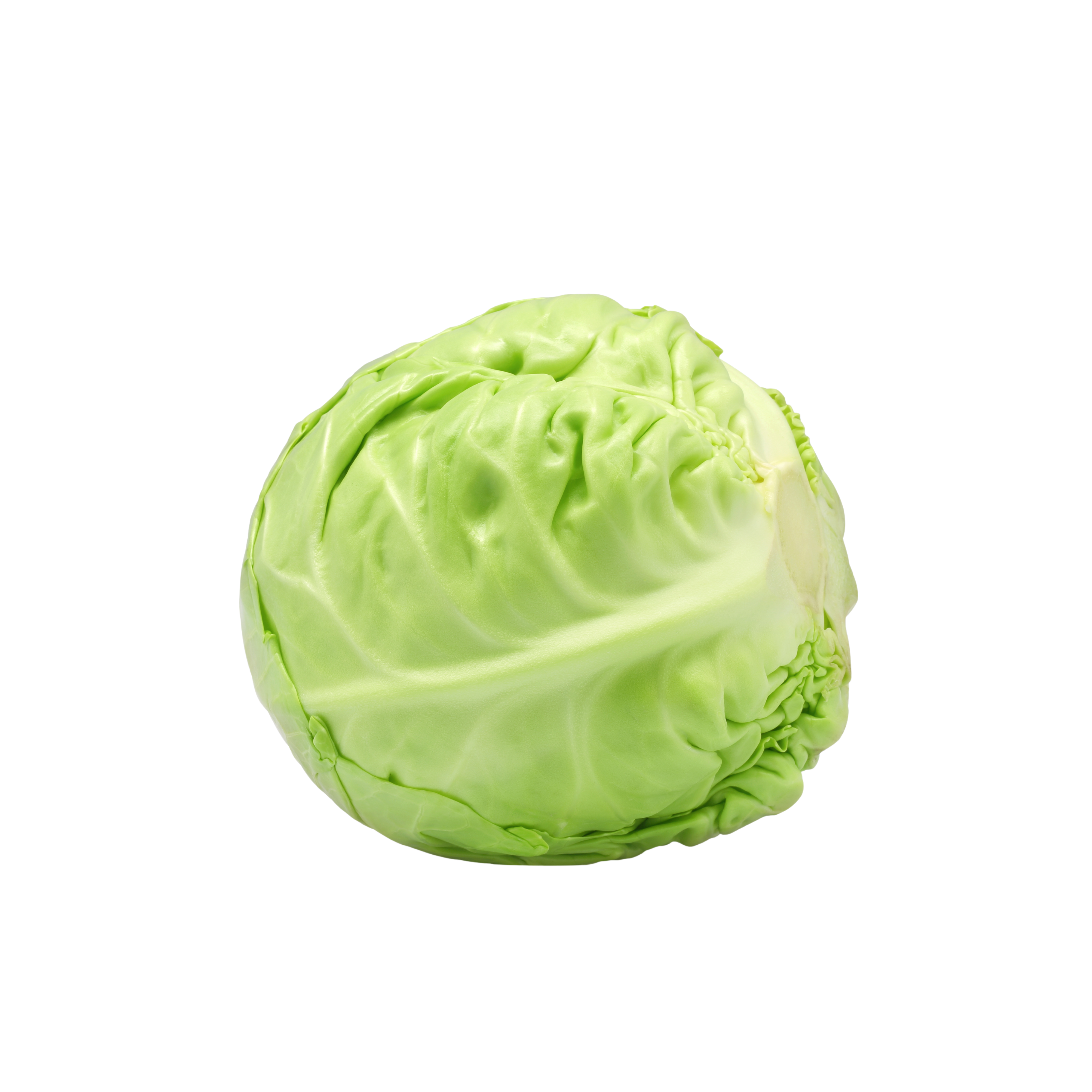 cavolo_cappuccio
