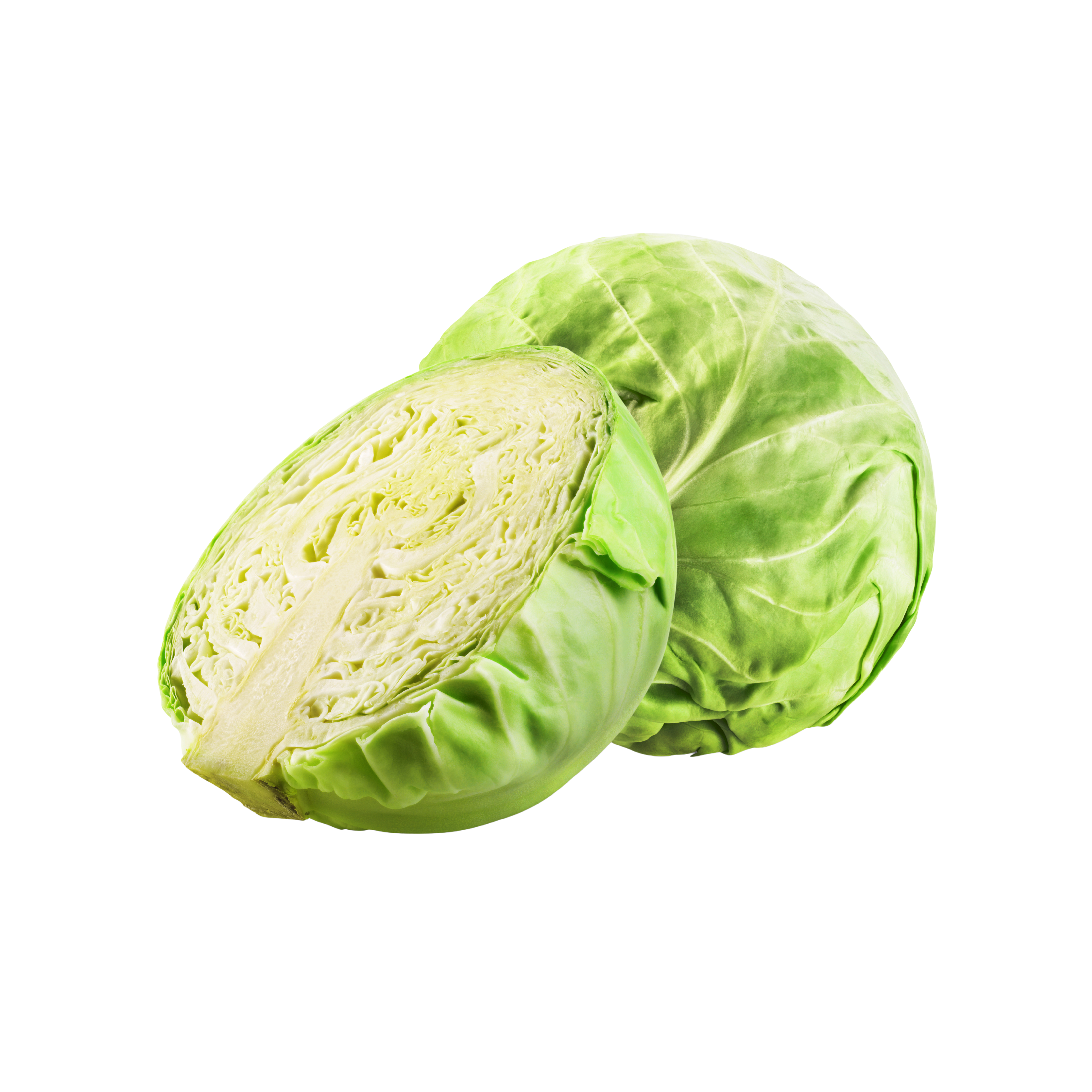 cavolo_verza