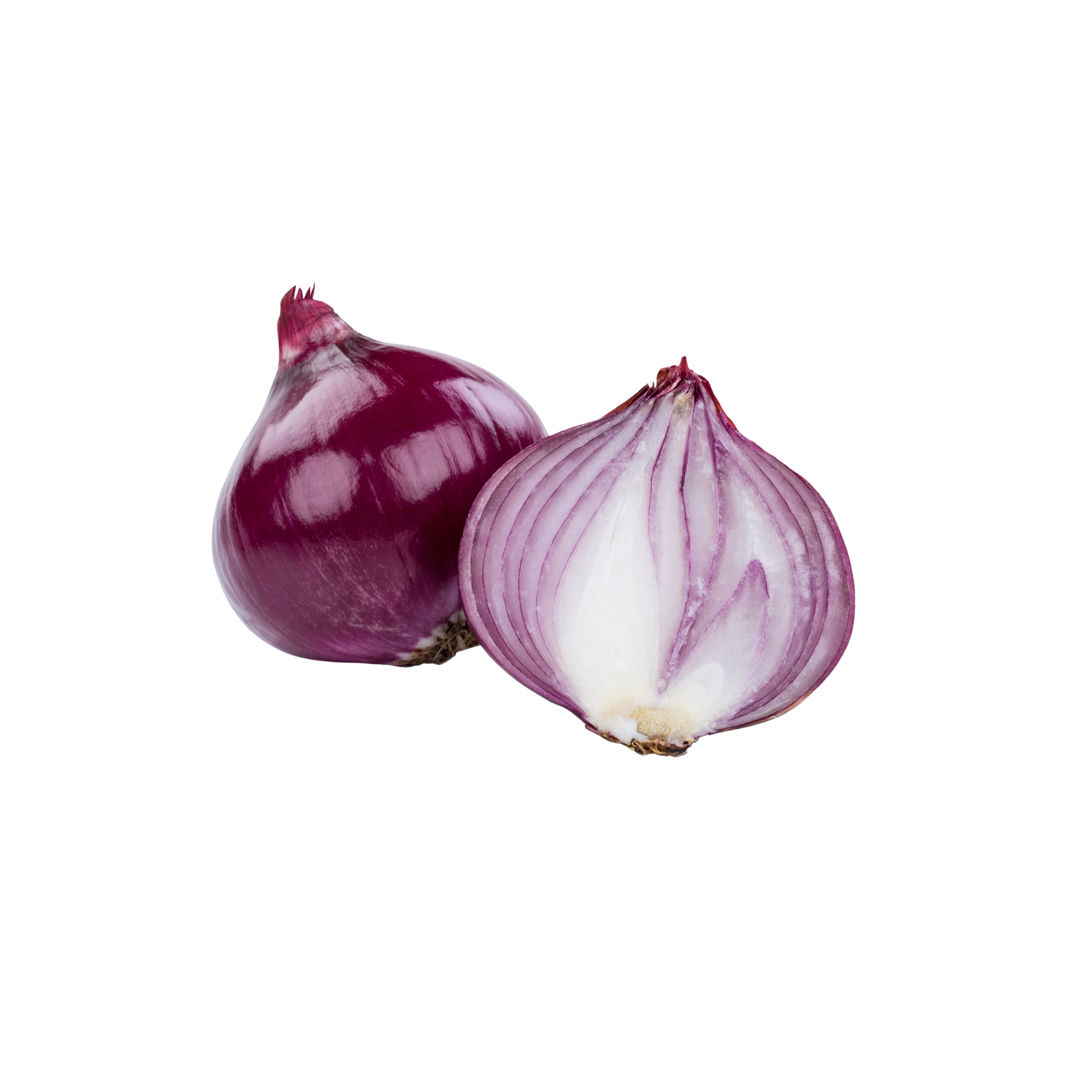 cipolle