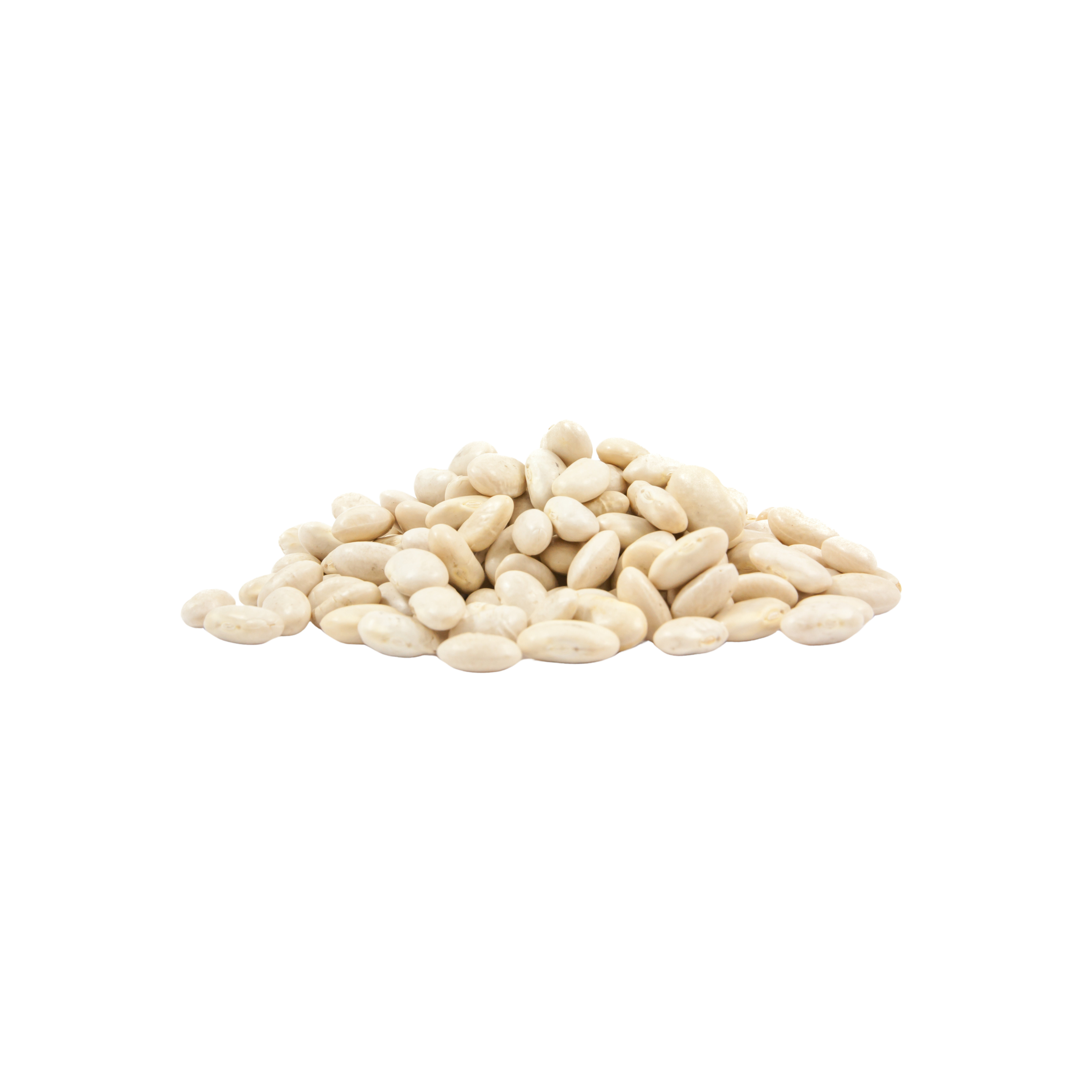 fagioli