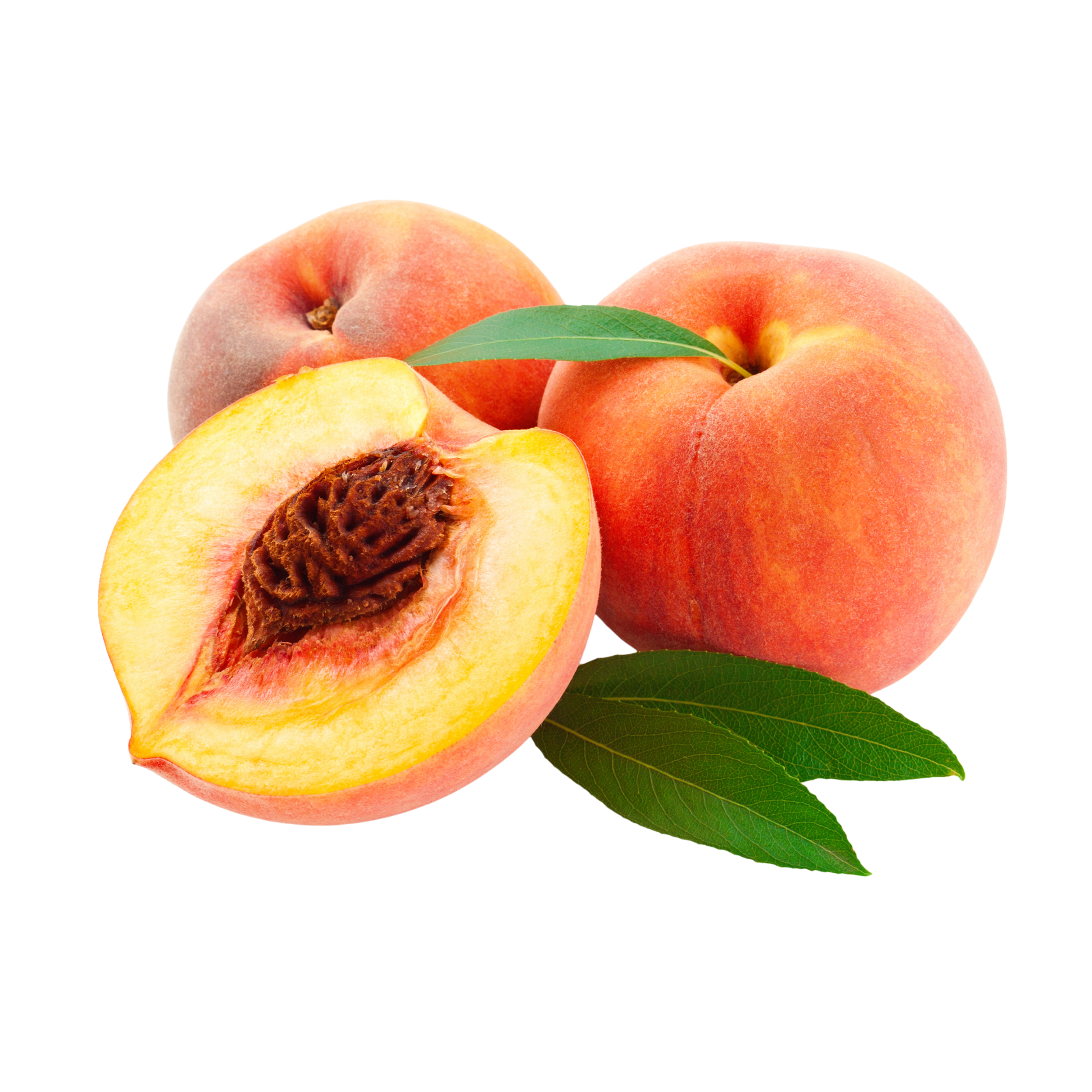 pesche